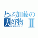 とある加藤の大好物Ⅱ（少女とビンタ）