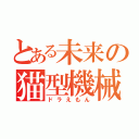 とある未来の猫型機械（ドラえもん）