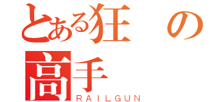 とある狂風の高手（ＲＡＩＬＧＵＮ）