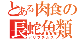 とある肉食の長蛇魚類（ポリプテルス）