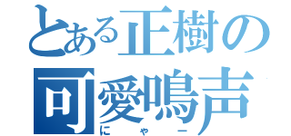 とある正樹の可愛鳴声（にゃー）