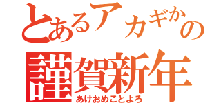 とあるアカギからの謹賀新年（あけおめことよろ）