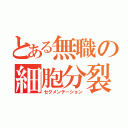 とある無職の細胞分裂（セグメンテーション）