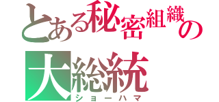 とある秘密組織の大総統（ショーハマ）