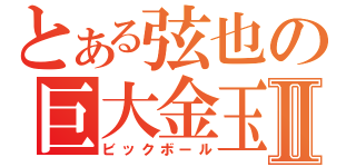 とある弦也の巨大金玉Ⅱ（ビックボール）