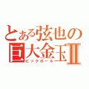 とある弦也の巨大金玉Ⅱ（ビックボール）