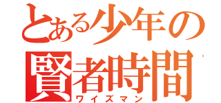 とある少年の賢者時間（ワイズマン）