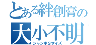 とある絆創膏の大小不明（ジャンボＳサイズ）