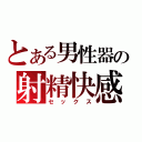 とある男性器の射精快感（セックス）