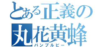 とある正義の丸花黄蜂（バンブルビー）