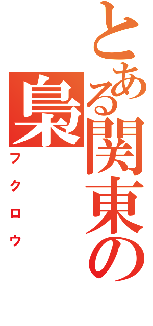 とある関東の梟（フクロウ）