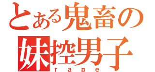 とある鬼畜の妹控男子（ｒａｐｅ）