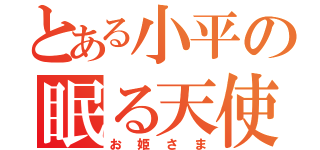 とある小平の眠る天使（お姫さま）