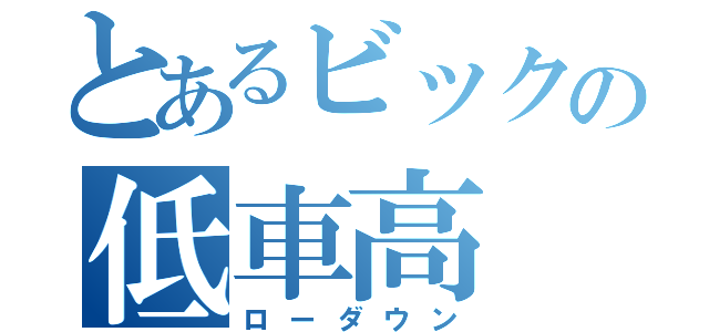 とあるビックの低車高（ローダウン）