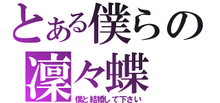 とある僕らの凜々蝶（僕と結婚して下さい）