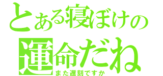 とある寝ぼけの運命だね（また遅刻ですか）