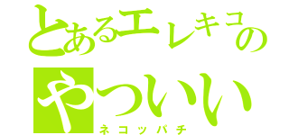 とあるエレキコミックのやついいちろう（ネコッパチ）