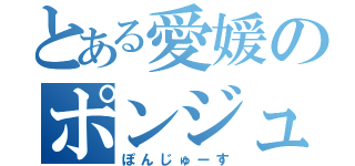 とある愛媛のポンジュース（ぽんじゅーす）