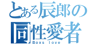 とある辰郎の同性愛者（Ｂｏｙｓ ｌｏｖｅ）