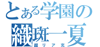 とある学園の織斑一夏（超リア充）