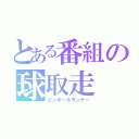 とある番組の球取走（ピンボールランナー）