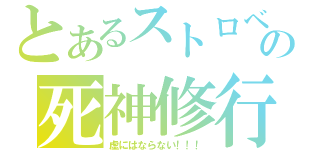 とあるストロベリーの死神修行（虚にはならない！！！）