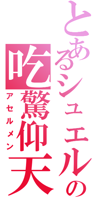 とあるシュエルの吃驚仰天（アセルメン）