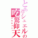 とあるシュエルの吃驚仰天（アセルメン）