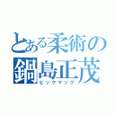 とある柔術の鍋島正茂（ビックマック）