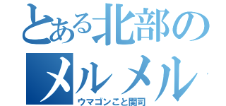 とある北部のメルメルメー（ウマゴンこと関司）