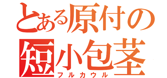 とある原付の短小包茎（フルカウル）