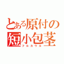 とある原付の短小包茎（フルカウル）