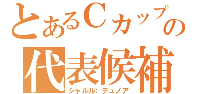 とあるＣカップの代表候補生（シャルル：デュノア）