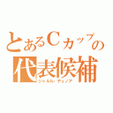 とあるＣカップの代表候補生（シャルル：デュノア）