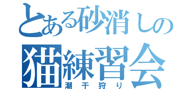 とある砂消しの猫練習会（潮干狩り）