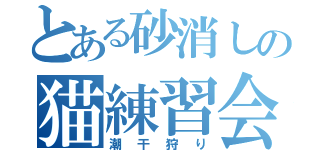 とある砂消しの猫練習会（潮干狩り）