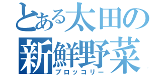 とある太田の新鮮野菜（ブロッコリー）