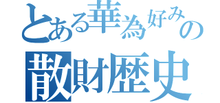 とある華為好みの散財歴史（）