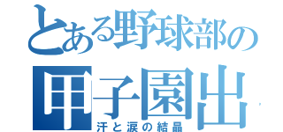 とある野球部の甲子園出場（汗と涙の結晶）