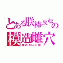 とある朕棒反転の模造雌穴（濡れない旧型）