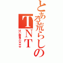 とある荒らしのＴＮＴ（はい餓鬼乙ｗｗｗ）