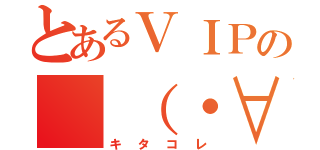 とあるＶＩＰの　（・∀・）（キタコレ）