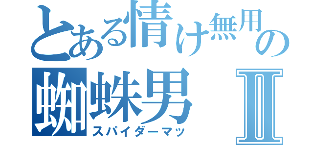 とある情け無用の蜘蛛男Ⅱ（スパイダーマッ）