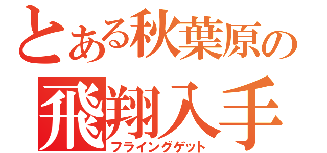 とある秋葉原の飛翔入手（フライングゲット）