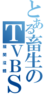 とある畜生のＴＶＢＳ（腥聞沒體）