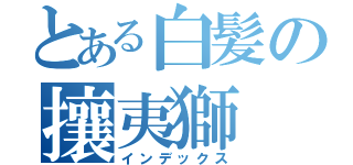 とある白髪の攘夷獅（インデックス）