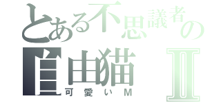 とある不思議者の自由猫Ⅱ（可愛いＭ）