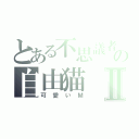 とある不思議者の自由猫Ⅱ（可愛いＭ）