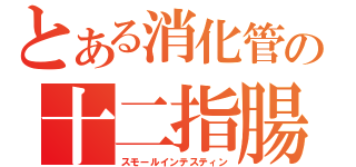 とある消化管の十二指腸空腸回腸（スモールインテスティン）