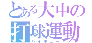 とある大中の打球運動（ハイキュー）